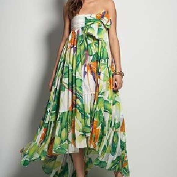 dvf bird dress
